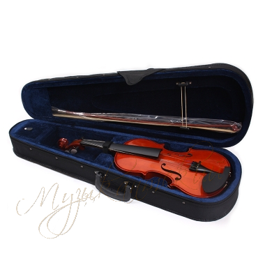 Скрипка 1/2 VG106 Aileen