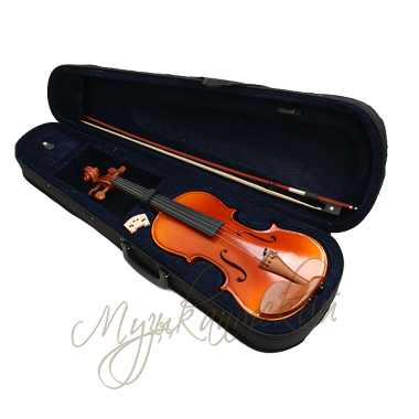 Скрипка 4/4 VG200 Aileen