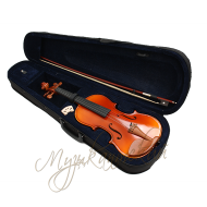 Скрипка 4/4 Aileen VG200