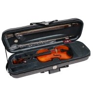 Скрипка 4/4 Aileen VH100DH-O