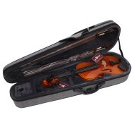 Скрипка 4/4 Aileen VM125AH