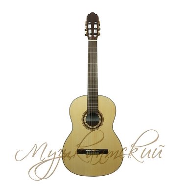 Гитара классическая Proandalus 10AS Hora