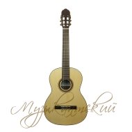 Гитара классичeская Hora Proandalus 10AS