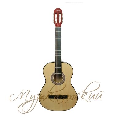 Гитара классическая TC-3901A NA Terris