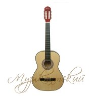 Гитара классическая Terris TC-3901A NA