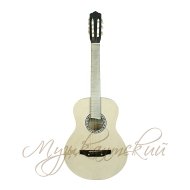 Гитара акустическая Аккорд ACD40A-54 EC